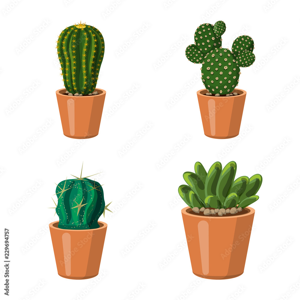 Vector design of cactus and pot icon. Set of cactus and cacti vector icon for stock. Vector design of cactus and pot icon. Set of cactus and cacti vector icon for stock.