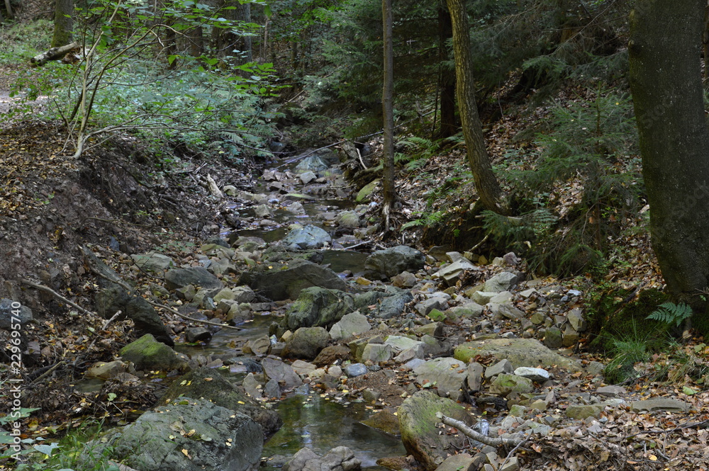 Suental im Harz, Sachsen - Anhalt Suental im Harz, Sachsen - Anhalt