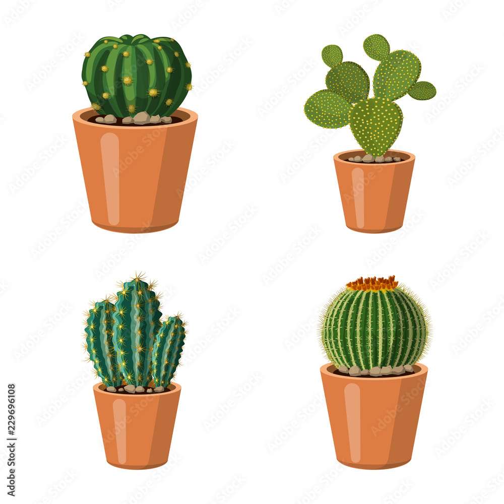 Vector design of cactus and pot sign. Set of cactus and cacti vector icon for stock. Vector design of cactus and pot sign. Set of cactus and cacti vector icon for stock.