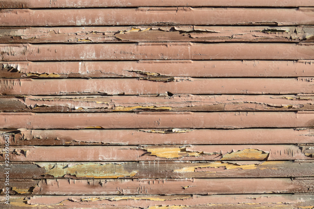 Fototapeta premium Verwitterter Holz-Rolladen (Hintergrund/Textur)