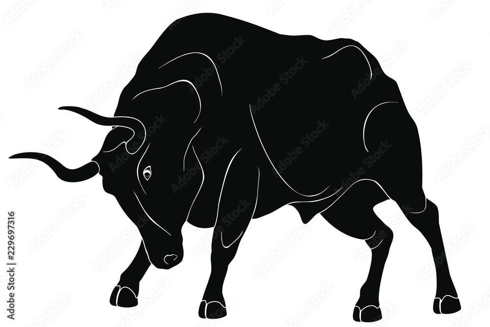 Wild bull in attack pose. Isolated black figure on white background.