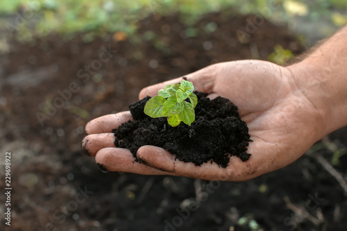 Man holding green seedling with soil outdoors