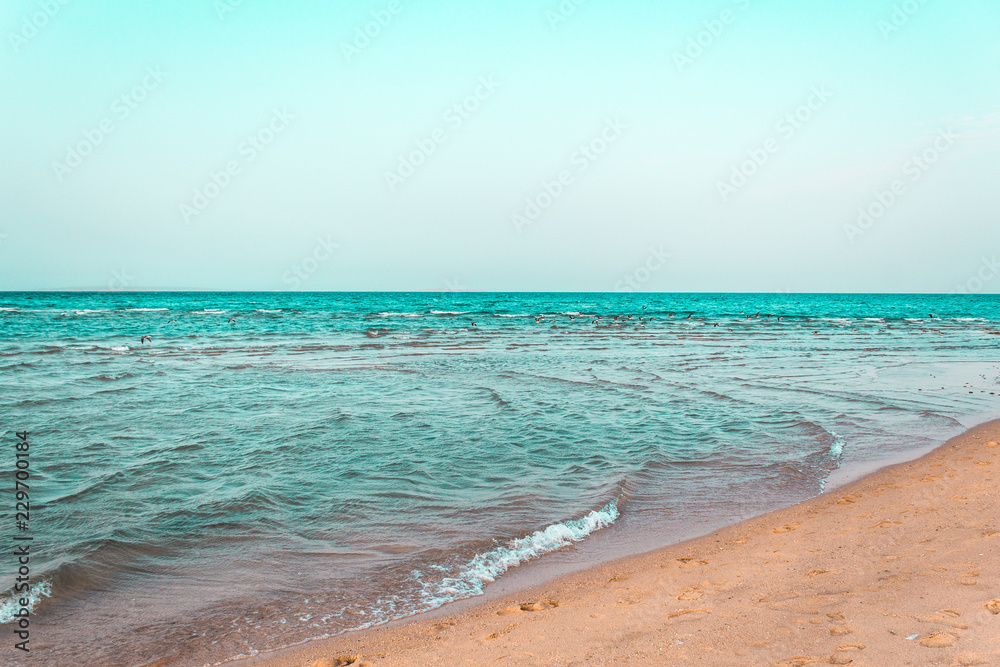 Obraz premium Landscape of beach and sea with blue sky