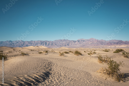 View of sandy Death Valley