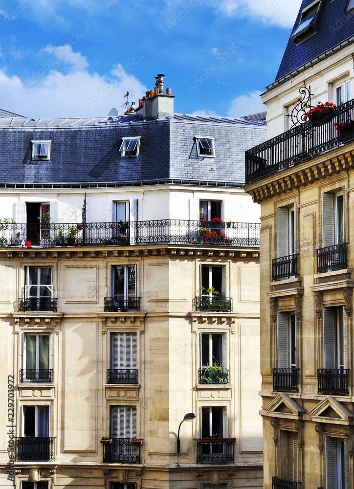 Obraz premium Architecture of Paris