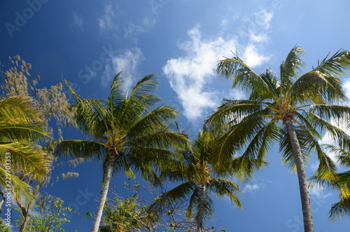 Cardwell coastline, north Queensland, Australia  photo