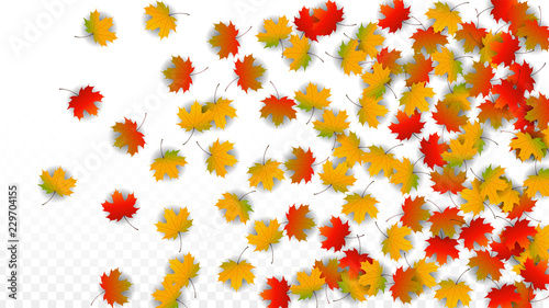 September Vector Background with Golden Falling Leaves. Autumn Illustration with Maple Red, Orange, Yellow Foliage. Isolated Leaf on Transparent Background. Bright Swirl. Suitable for Posters.