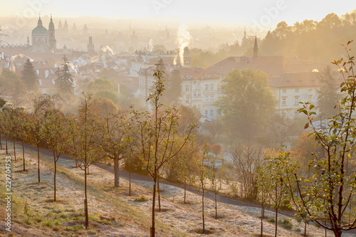Cuadro en lienzo Petrin hill at sunrise, Lesser Town (UNESCO), Prague, Czech republic