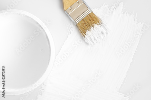 Принти на полотні White paint stroke and brush