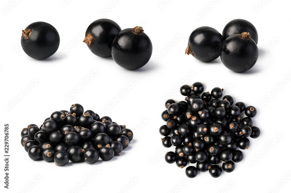Black currant