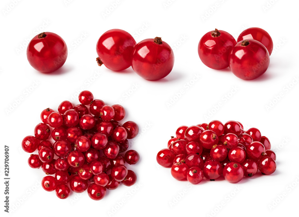 Red currants Red currants