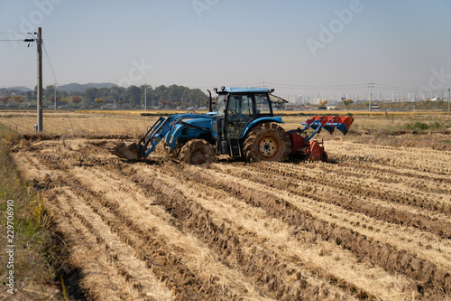 Tractor in field