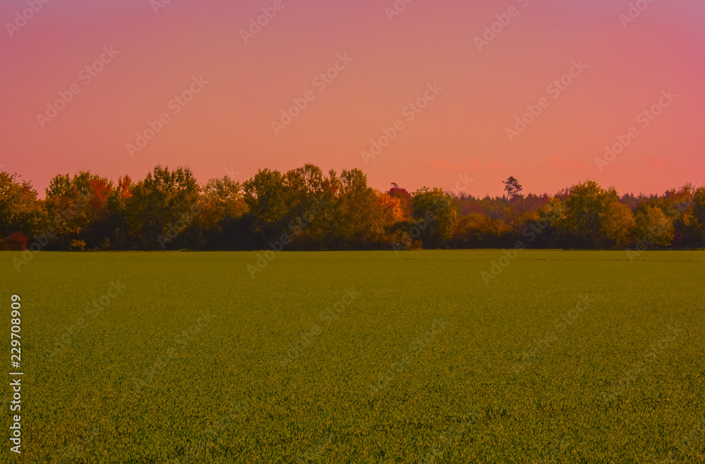 Obraz premium Sonnenuntergang im Herbst