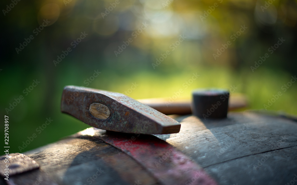Winemaking hammer on the barrel in the vineyard Winemaking hammer on the barrel in the vineyard