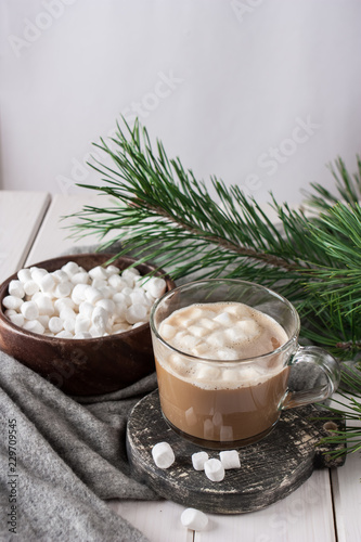 Winter hot drink. Christmas hot chocolate or cocoa with marshmallow on white background