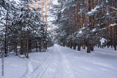 Snowbound road through the winter snowy forest