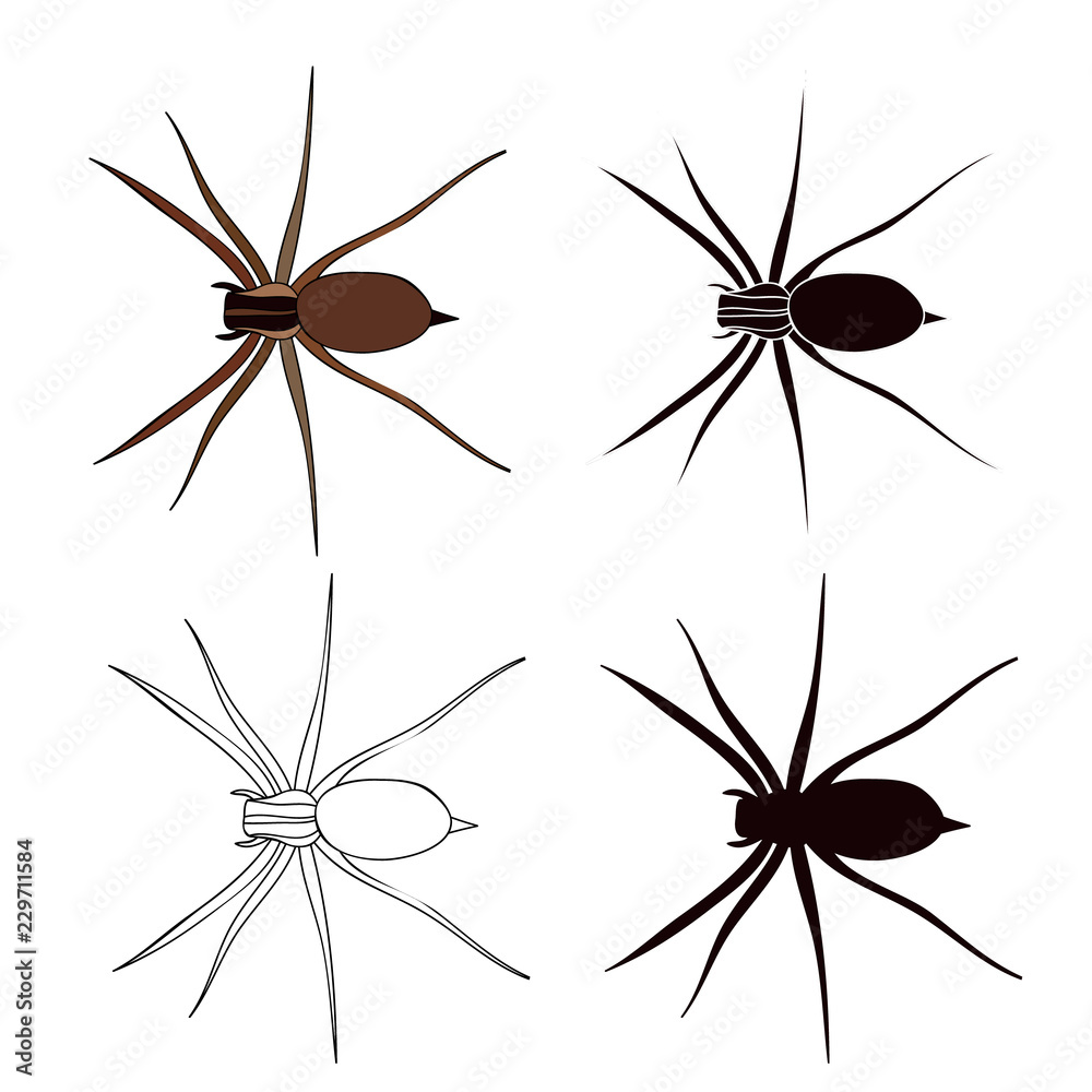 insect, spider set, sketch and silhouette insect, spider set, sketch and silhouette