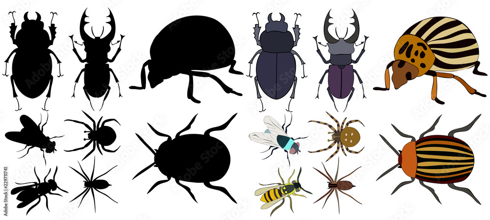 vector, isolated, insects, beetles, silhouette set vector, isolated, insects, beetles, silhouette set