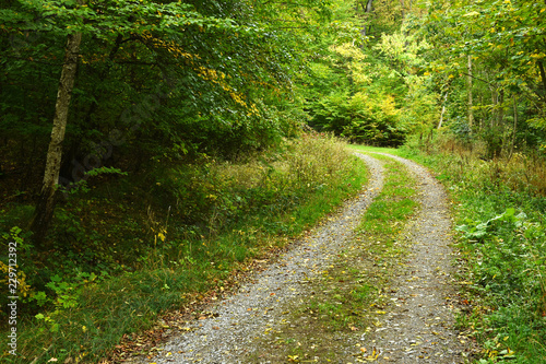 Herbstwald, Waldweg im Herbst © JRG