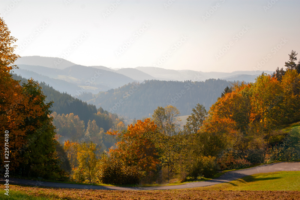 Hügelige Landschaft im Herbst