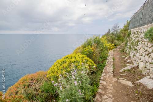 Sentiero die Fortini ist ein wundersch  ner Wanderpfad mit einigen kleinen Festungsruinen  der sich an der Westk  ste der Insel Capri entlangschl  ngelt.