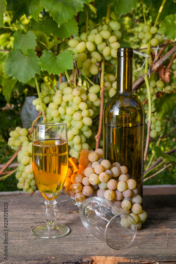 Glass of white wine and empty glass, bottle, bunch of grapes on old wooden table against vineyard..