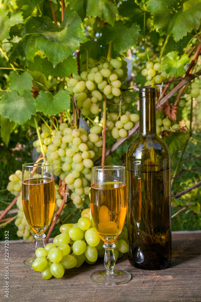 Two glasses of white wine and a bunch of grapes on old wooden table against vineyard..