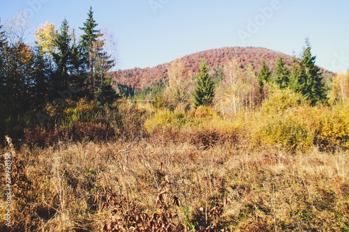Ukrainian Carpathians in autumn time. Warm colored green leaves. the spirit of adventure Authentic views. The beauty of the earth. Forests and mountains