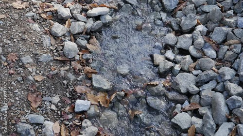 Wallpaper Mural Water flowing down a small creek. Hand hield footage. Torontodigital.ca