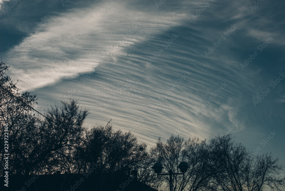 Fototapeta premium clouds in the sky