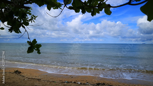 view neture  sea  photo