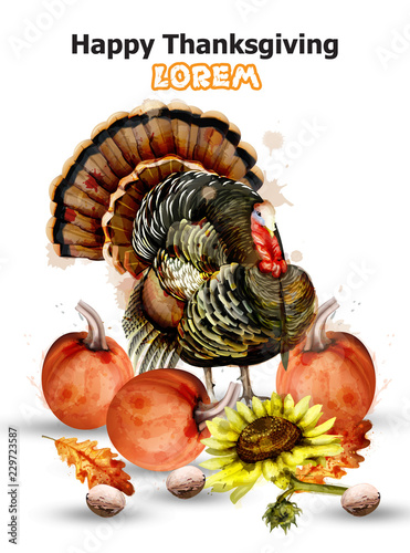 Thanksgiving day card Vector. Turkey and pumpkins symbol isolated on white ba...