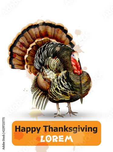 Thanksgiving day Vector. Turkey symbol isolated on white backgrounds