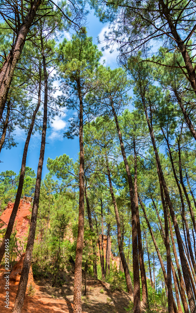 Ochre hills at Roussillon in Provence, France