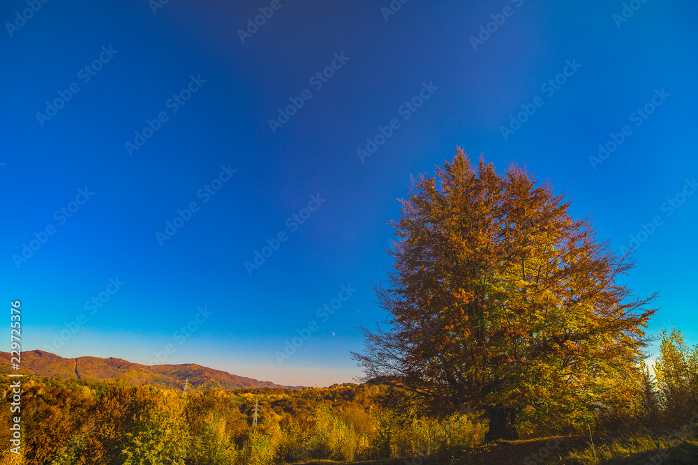 Colorful autumn landscape. Carpathian mountains, Romania, Europe. Colorful autumn landscape. Carpathian mountains, Romania, Europe.