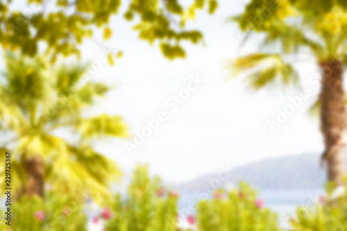 view of a tropical beach  blurred background  summer holiday concept  for designer