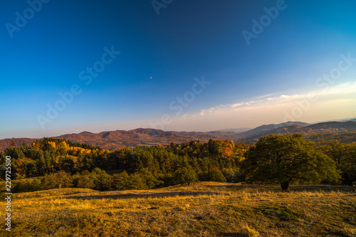 Colorful autumn landscape. Carpathian mountains  Romania  Europe.