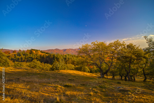 Fototapeta Naklejka Na Ścianę i Meble -  Colorful autumn landscape. Carpathian mountains, Romania, Europe.