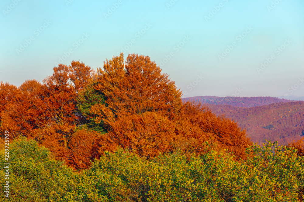 Fototapeta premium Colorful autumn landscape. Carpathian mountains, Romania, Europe.