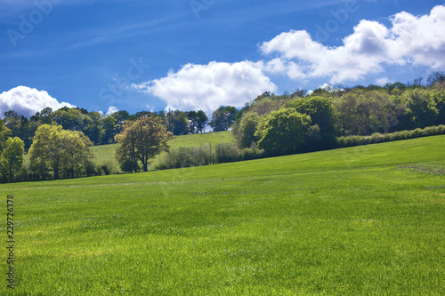 Typical England rural scene