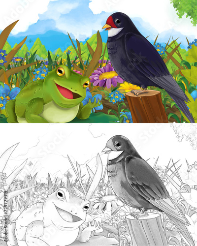 cartoon scene with happy frog on the meadow talking to cuckoo bird - with coloring page - creative illustration for children photo