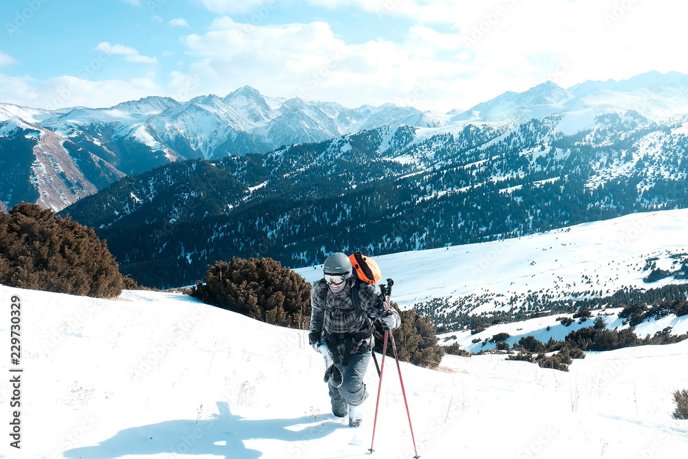 custom made wallpaper toronto digitalSkier free rider with skis rises uphill. Clear day. snow mountains