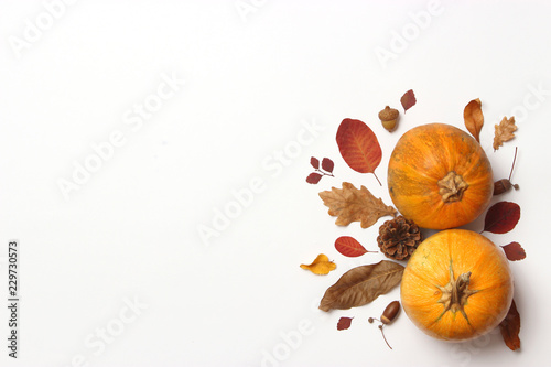 autumn composition