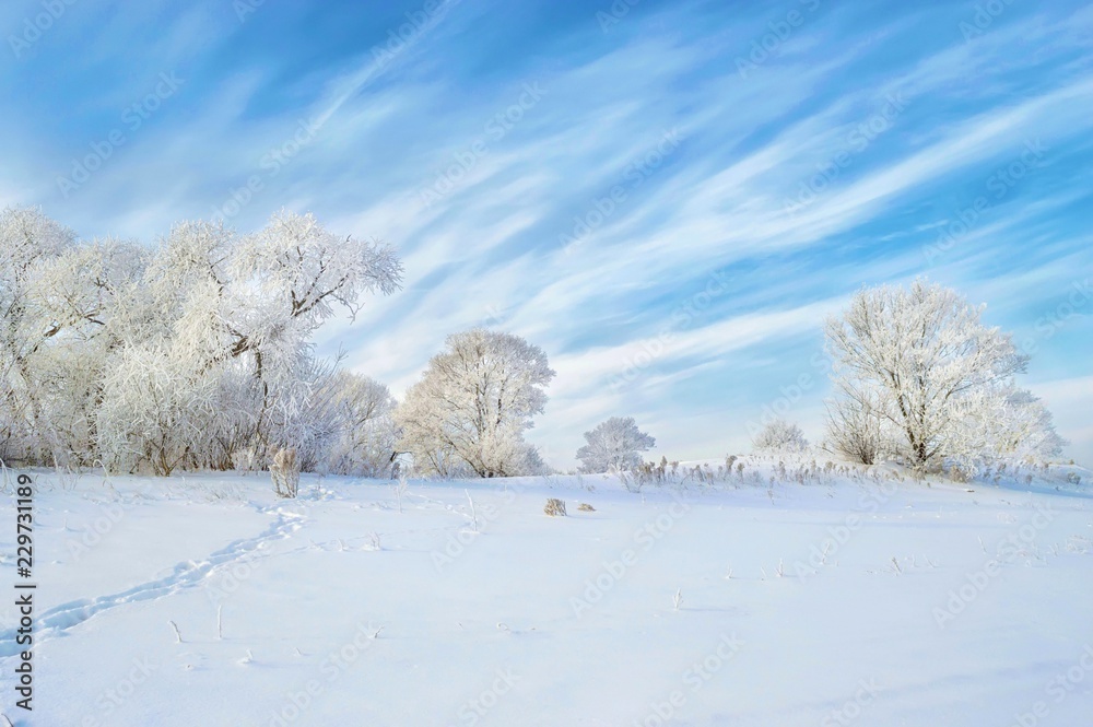 Winter wonderland! Khabarovsk, far East, Russia. Winter wonderland! Khabarovsk, far East, Russia.