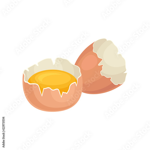 Yolk of chicken egg in broken shell. Fresh and healthy food. Eco product. Ingredient for cooking. Flat vector design