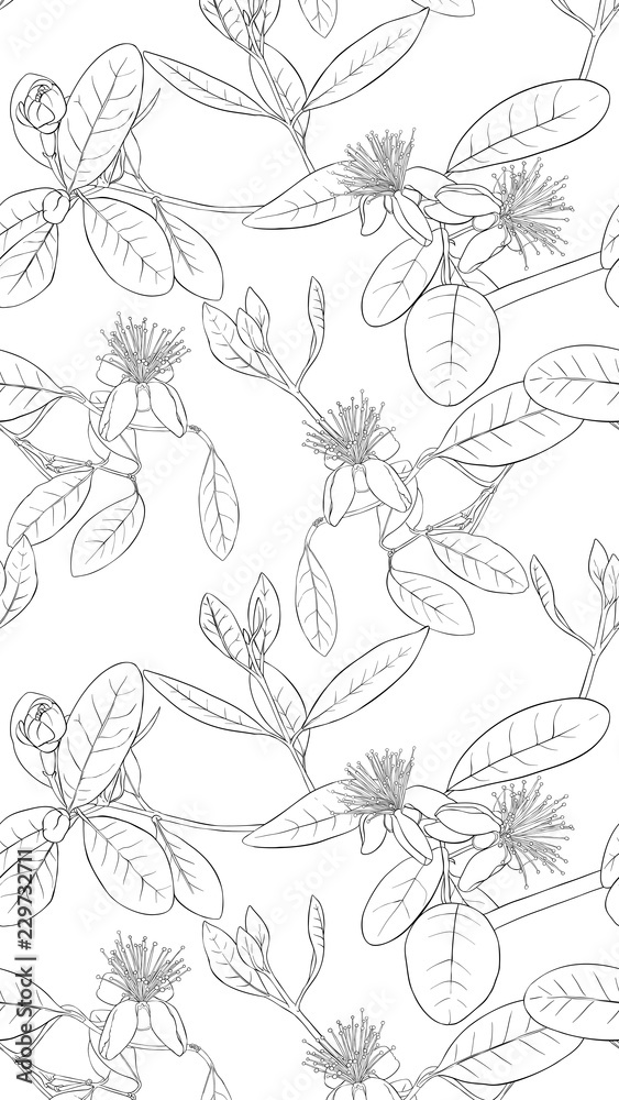 Pattern, background with with feijoa flowers