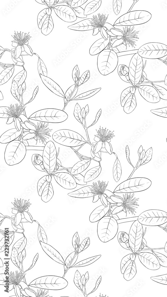 Pattern, background with with feijoa flowers