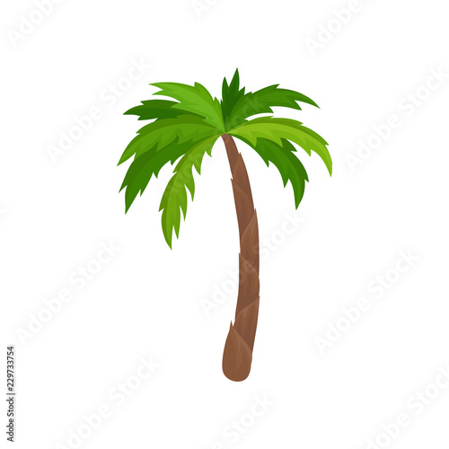 Palm tree with bright green leaves. Plant of tropical forest. Flat vector for advertising poster or banner of travel agency