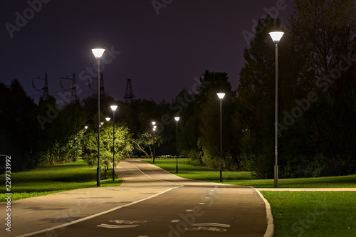 Fototapeta Naklejka Na Ścianę i Meble -  Cycle path in the city park