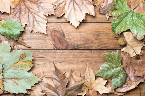 Frame formed by autumn leaves on wooden boards